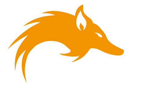 IS-FOX Logo